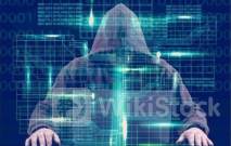 应用前景备受关注，逾100家机构火速调研