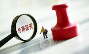 增投资提能级 外资企业投下“信心票”