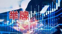 年内6次举牌！险资入市按下“快进键”