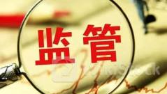 上交所通报“造假”典型