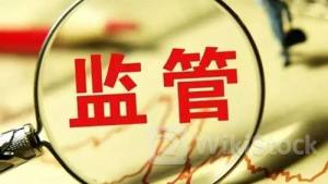 上交所通报“造假”典型