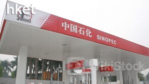 386業績｜中石化去年少賺12.9%、末期息0.2人幣 主營業務收入跌3.4%受累原油、化工品等價格下降