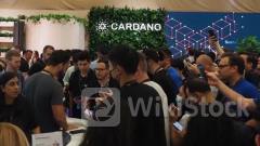 カルダノ、6月中にも開発の最終段階「ヴォルテールの時代」へ