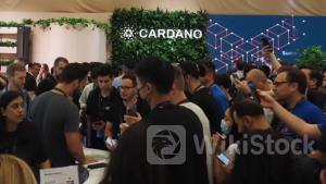 カルダノ、6月中にも開発の最終段階「ヴォルテールの時代」へ