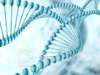 辉瑞(PFE.US)重大突破落空 杜氏肌营养不良症基因疗法晚期临床试验宣告失败