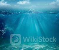 Tesla Shareholders Reject Deep Sea Mining Moratorium As Global Environmental Debate Continues - Tesla (NA