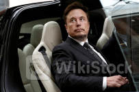 What's next for Tesla's stock as shareholders and Wall Street pros weigh in