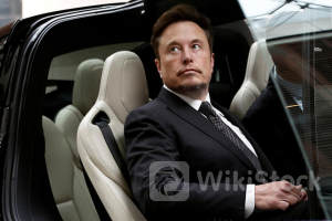 What's next for Tesla's stock as shareholders and Wall Street pros weigh in