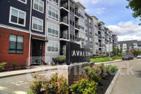 More and more renters are staying put. That's 'not going to change anytime soon.'