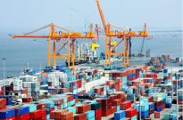 Xuất khẩu tuần từ 10/6-16/6: Xuất khẩu tôm Việt Nam kỳ vọng đà tăng trưởng