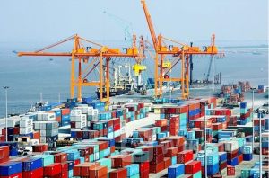 Xuất khẩu tuần từ 10/6-16/6: Xuất khẩu tôm Việt Nam kỳ vọng đà tăng trưởng