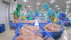 VHC: Doanh thu tại Trung Quốc, châu Âu tăng mạnh