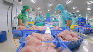 VHC: Doanh thu tại Trung Quốc, châu Âu tăng mạnh