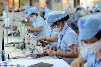 Phục hồi chưa bền vững, doanh nghiệp vẫn đối mặt với nhiều rủi ro