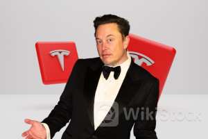 Can Elon Musk's Tesla Really Pull Off A $20K Model Y？ Industry Experts Have Mixed Feelings - Tesla (NASDA