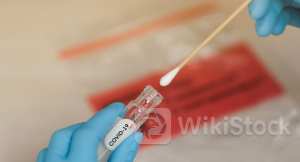 Vaxart Stock Is Moving Higher After The Bell: What's Going On？ - Vaxart (NASDAQ:VXRT)