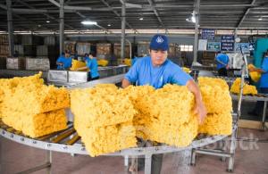 GVR: Chia 1.200 tỉ đồng cổ tức năm 2023