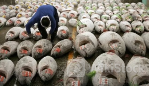 'Siêu thực phẩm' của Việt Nam được Italy liên tục săn lùng: Thu gần 400 triệu trong 5 tháng, hơn 80 quốc gia khác 'đặt gạch' mua hàng