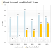 CNT: Cổ phiếu vừa tăng dựng đứng, báo gặp sự cố mạng, mất dữ liệu kế toán chưa thể khôi phục