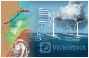Làm sao để phát triển điện gió nổi ngoài khơi?