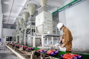 DGC: Dragon Capital nâng sở hữu tại DGC lên hơn 6%