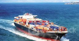 MVN: Liên tục tăng trần, cổ phiếu "ông lớn" ngành vận tải biển tăng 180% từ đầu tháng 6