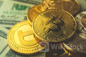 EXCLUSIVE: Will The Crypto Bulls Come Back In the Fall? Experts Explain Why Summers Are Not The Best For