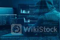 LendingTree Stock Is Losing Ground After Hours: Here's Why - LendingTree (NASDAQ:TREE)