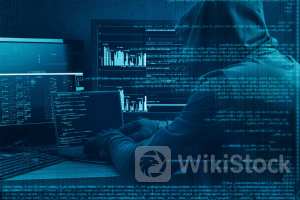 LendingTree Stock Is Losing Ground After Hours: Here's Why - LendingTree (NASDAQ:TREE)