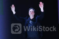 Investors are buying into AI and Musk any way they can: Morning Brief