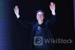 Investors are buying into AI and Musk any way they can: Morning Brief