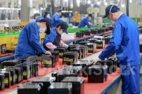 Hà Nội: Doanh nghiệp ‘khai tử’ cao hơn 1,5 lần ‘khai sinh’