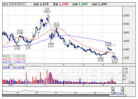 決算マイナス・インパクト銘柄 【東証スタンダード・グロース】 … 売れるネット、エコナビスタ、ＨＥＲＯＺ (6月14日～20日発表分)