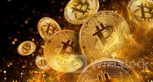 Bitcoin At 'Do-Or-Die' Level And Dogwifhat 'Just Looks Sh*t,' Says Top Trader: 'Can't Pin This On Me'