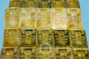 Giá vàng hôm nay 23/6/2024: Vàng miếng SJC ổn định, vàng nhẫn biến động mạnh