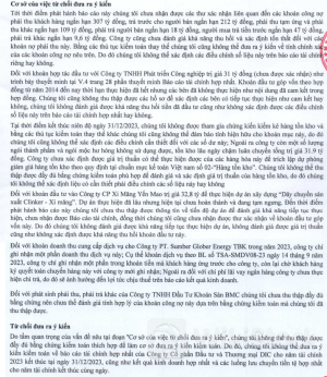 Bị kiểm toán từ chối đưa ra ý kiến, DIC giải trình ra sao?