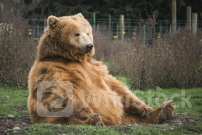 Nasdaq Futures Slip As Nvidia Sell-Off Continues, S&P 500 Futures Hold Up: Analyst Says 'Valuations Will