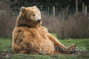 Nasdaq Futures Slip As Nvidia Sell-Off Continues, S&P 500 Futures Hold Up: Analyst Says 'Valuations Will