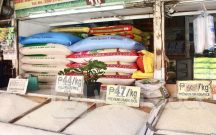 Cơ hội cho gạo Việt Nam khi Philippines giảm thuế nhập khẩu đến năm 2028