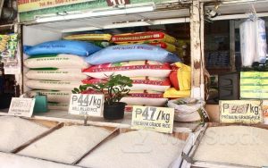 Cơ hội cho gạo Việt Nam khi Philippines giảm thuế nhập khẩu đến năm 2028