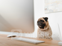 流媒体巨头大战升级!派拉蒙环球(PARA.US)提价求生以重塑盈利格局