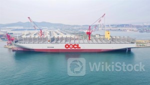 ＜Research＞Daiwa Thinks Shipping Rates Still in Uptrend, Recommends OOIL & SITC