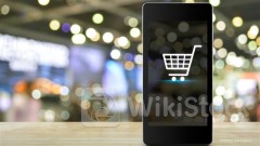 G Sachs Expects 2024 CN E-commerce Sales to Rise 8% YoY