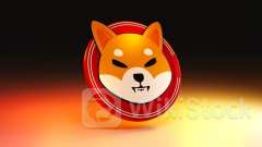 'Dogecoin Killer' Shiba Inu's Burn Rate Fires Up To 6,018%, 'Price Rebound' May Be Next Thanks To This In