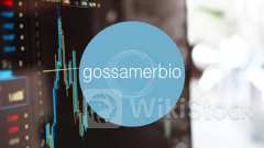 Gossamer Bio's Clean Safety Profile Differentiates It From Merck, Analyst Says - Gossamer Bio (NASDAQ:GOS