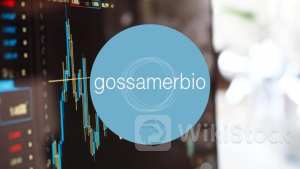Gossamer Bio's Clean Safety Profile Differentiates It From Merck, Analyst Says - Gossamer Bio (NASDAQ:GOS
