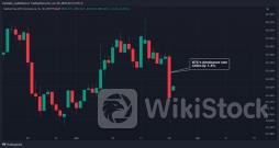 ビットコインのドミナンス、5カ月ぶりの低水準──マウントゴックスの影響か