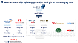 MSN: Vì sao các tổ chức tài chính tích cực với cổ phiếu MSN？
