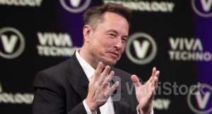 Elon Musk's EV Giant Will See Revenue From Its Auto Business Slumping This Year, But Tesla 'May Hold Some