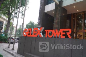 GEX: Gelex công bố đơn vị kiểm toán báo cáo tài chính năm 2024